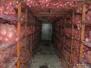 800T蔬菜保鮮冷庫(kù)安裝案例